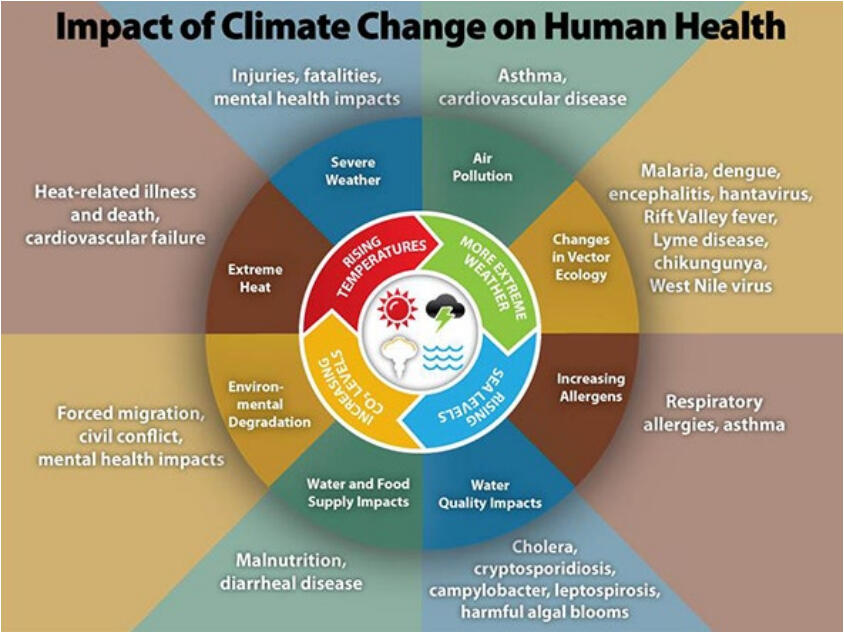 Impact of Climate Change on Human Health Impact of Climate Change on Human Health